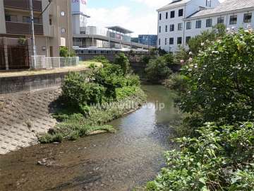 敷地の南西側を駄六川が流れ、川沿いは緑豊かです。