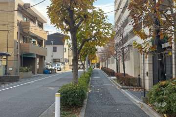 敷地東側の前面道路
