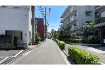 敷地の東側前面道路（北側から）
