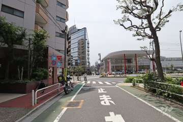 敷地西側の前面道路（北側から）