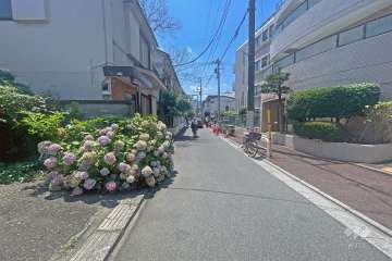 敷地の東側前面道路（北側から）