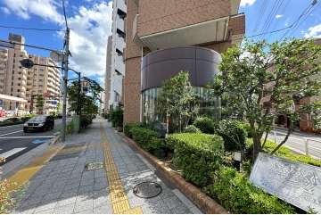 敷地の北東側前面道路（北西側から）