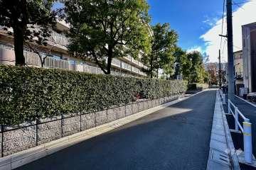 敷地の北西側前面道路（北東側から）