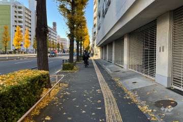 敷地の南側前面道路（東側から）