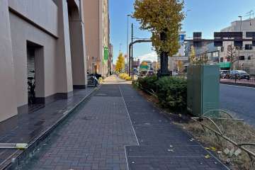 敷地南西側の前面道路（北西側から）