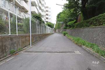敷地南西側の前面道路（北西側から）