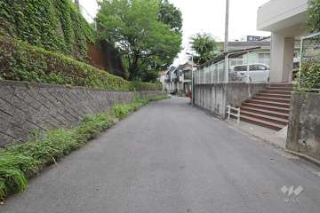 敷地南西側の前面道路（南東側から）