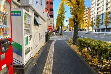 敷地北側の前面道路　