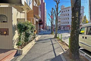 敷地の西側前面道路（北側から）