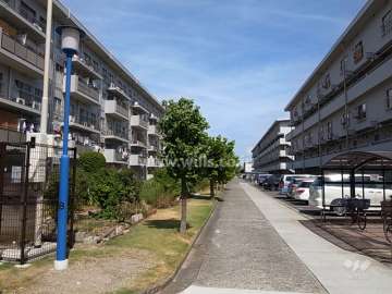 13号棟の南側の通路