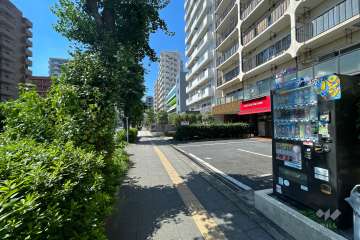 敷地南西側の前面道路（南東側から）