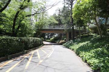 敷地の南東側前面道路　　