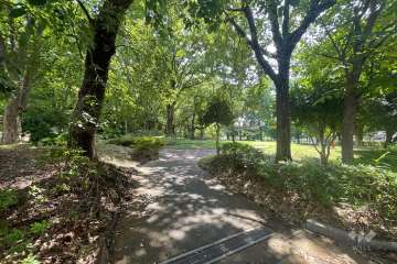 敷地に隣接した『赤塚公園』