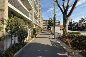 敷地の南側前面道路（西側から）