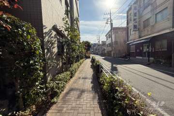 敷地の西側前面道路（北側から）