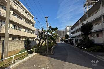 敷地南側の通路
