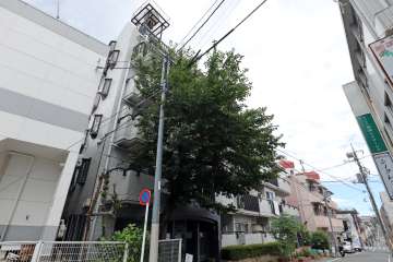 コーラルハイツ成増の外観（南側から）