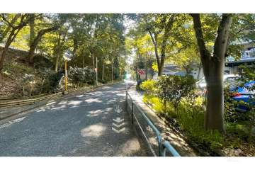 敷地の東側前面道路（北側から）