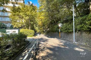 敷地の東側前面道路（南側から）