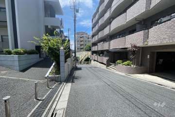 敷地の南側前面道路（東側から）