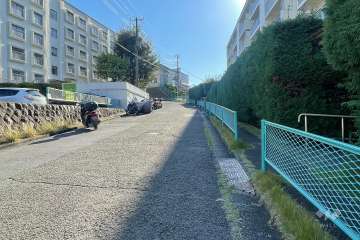 敷地の東側前面道路（北側から）