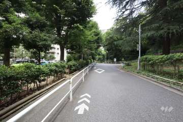 敷地東側の前面道路　