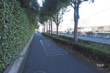 敷地北側の前面道路（東側から）