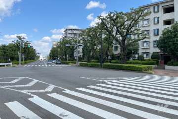 敷地の西側前面道路（南側から）