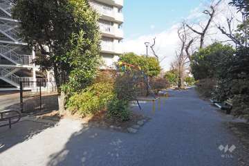 敷地南側の前面通路（西側から）