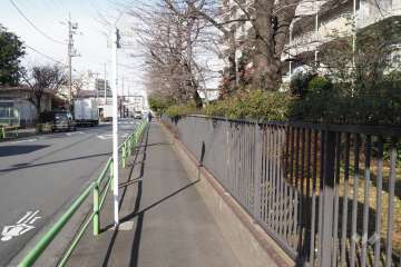 敷地西側の前面道路（南側から）