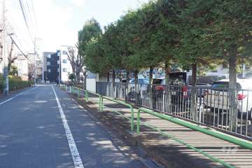 敷地北側の前面道路（西側から）