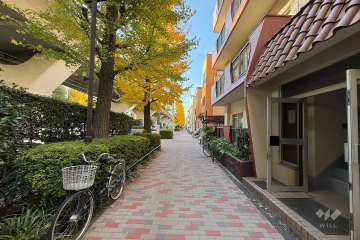 敷地南側の前面道路　