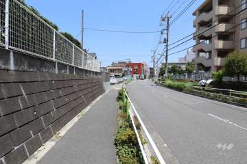 敷地東側の前面道路（北側から）