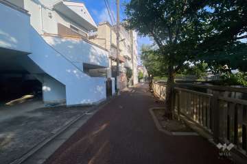 敷地の西側前面道路（北側から）