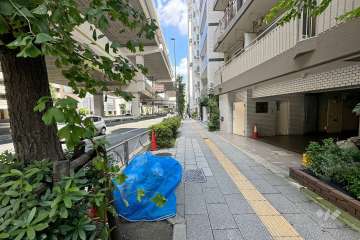 敷地南西側の前面道路（南東側から）