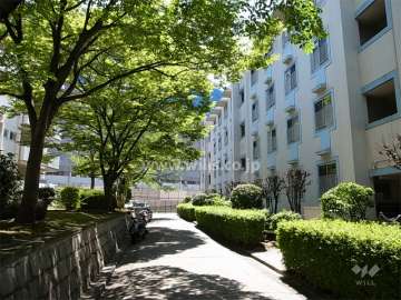 A-19棟の北側の通路