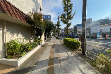 敷地西側の前面道路（北側から）