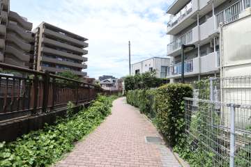 敷地西側の前面道路（南側から）