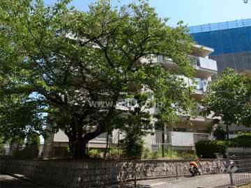 府公社千里津雲台団地A-21棟の外観(南側から)