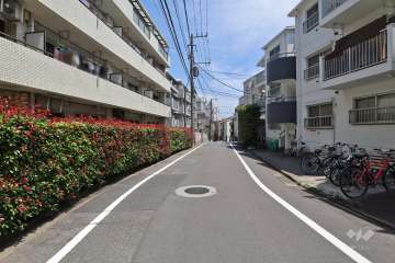 敷地南西側の前面道路（北西側から）