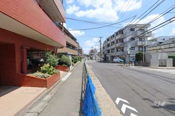 敷地南側の前面道路（西側から）