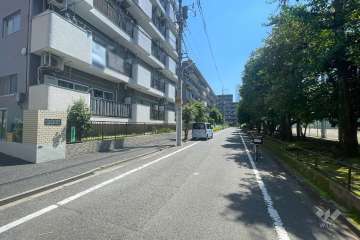 敷地南側の前面道路　