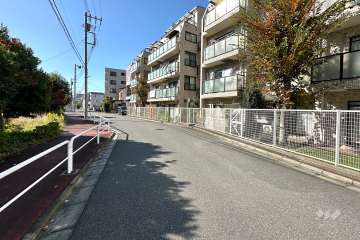 敷地の南側前面道路（東側から）