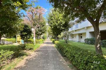 建物の西側敷地内通路（南側から）