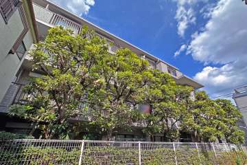 板橋本町パークホームズの外観（西側から）