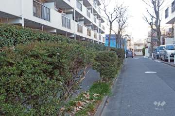 敷地東側の前面道路（南側から）