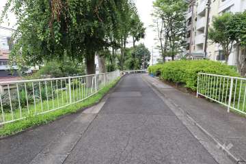 敷地北側の前面道路（東側から）