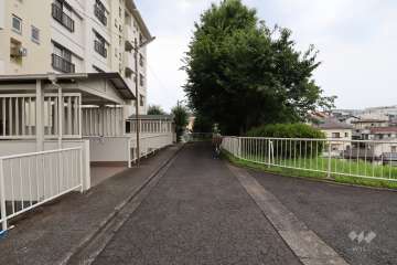 敷地北側の前面道路（西側から）