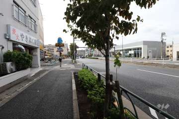 敷地の北側の前面道路（東側から）