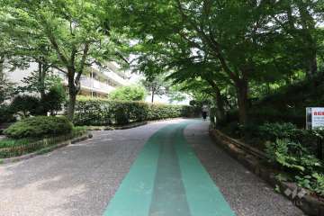 敷地南側の前面道路